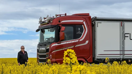 Ory-ekipage på rapsfält i Skåne